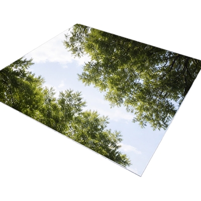 Spegelpolerad rostfri stålskiva